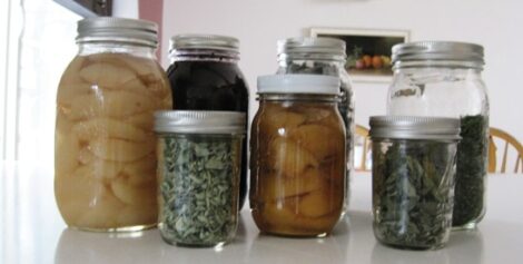 Minimalism and the Homesteading Life, Part 1 Image